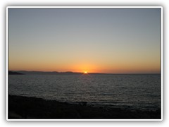 DSC00431