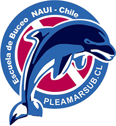 Pleamarsub - Buceo